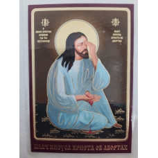 Ламинированная икона Плач Иисуса Христа об абортах