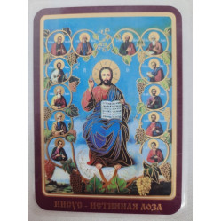 Ламинированная икона Христос Лоза Истинна