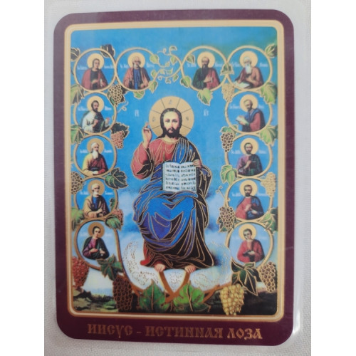 Ламинированная икона Христос Лоза Истинна